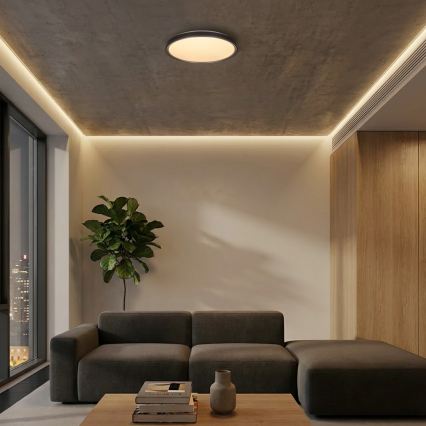 Brilagi - FANCIA hämardatav LED-laelamp LED/48W/230V 3000-6500K läbimõõt 39 cm hõbedane + puldiga