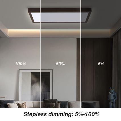 Brilagi - LED Hämardatav laevalgusti vannituppa FRAME SMART LED/30W/230V 30x60 cm 3000-6000K  IP44 must  + kaugjuhtimispult