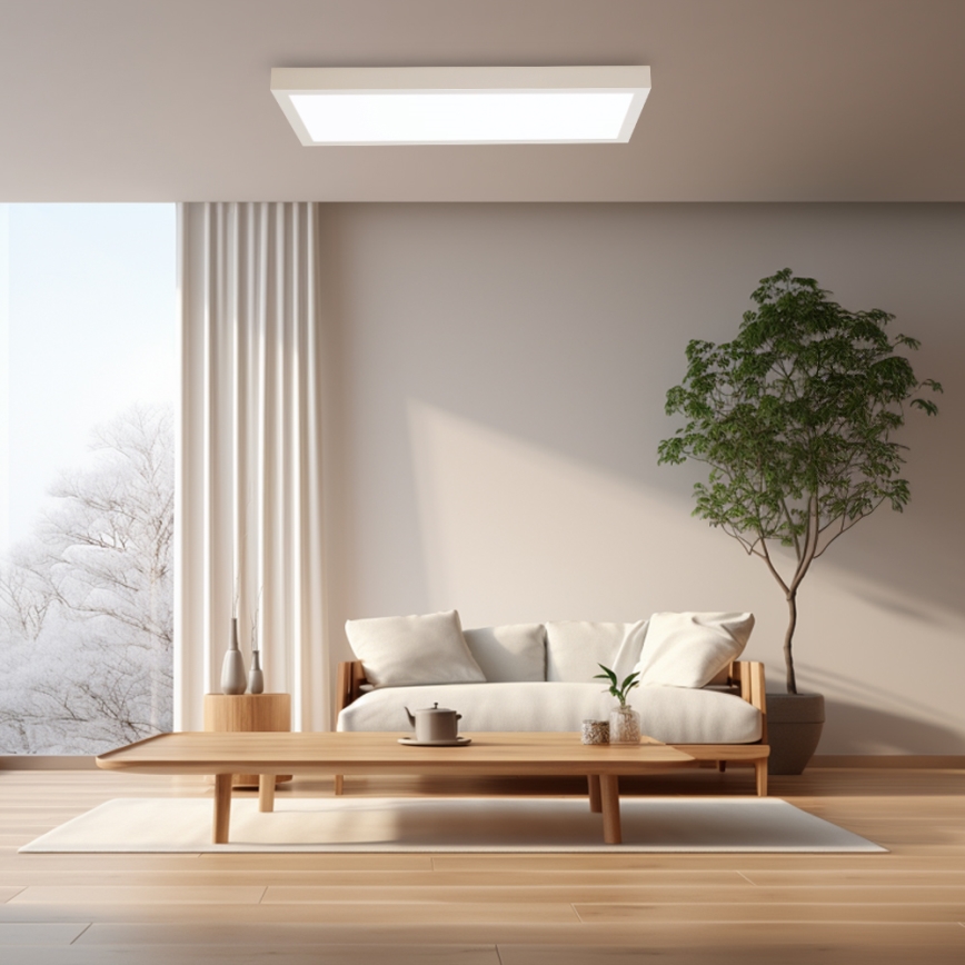 Brilagi - LED Hämardatav laevalgusti vannituppa FRAME SMART LED/30W/230V 30x60 cm 3000-6000K IP44 valge + kaugjuhtimispult