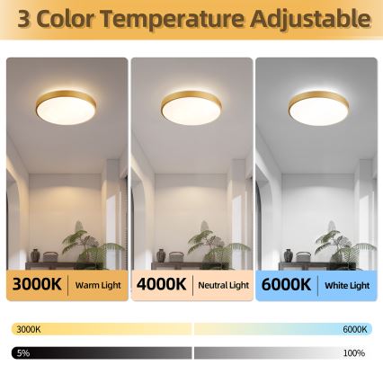 Brilagi - LED-hämardatav laelamp GLASS POOL DOUBLE LED/48W/230V 3000-6000K 40 cm kuldne + kaugjuhtimispult