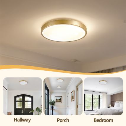 Brilagi - LED-hämardatav laelamp GLASS POOL DOUBLE LED/48W/230V 3000-6000K 40 cm kuldne + kaugjuhtimispult