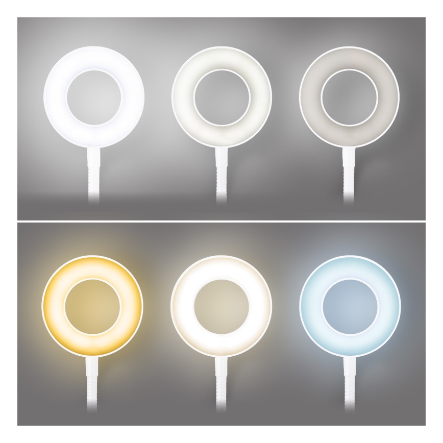 Brilagi - LED Hämardatav valgusti klambriga ORBELA LED/8W/230V 3000/4000/5000K valge