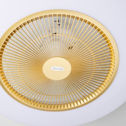 Brilagi - LED Hämardatav valgusti koos ventilaatoriga AURA LED/38W/230V 3000-6000K kuldne + pult