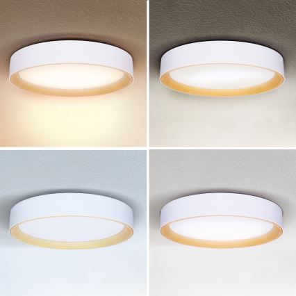 Brilagi - LED Hämardatav laevalgusti LARIOS LED/60W/230V 3000-6500K ø 49 cm valge + kaugjuhtimispult
