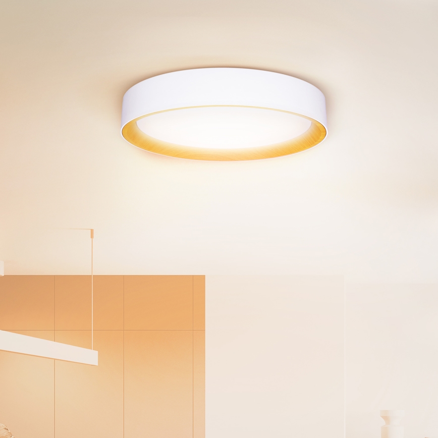 Brilagi - LED Hämardatav laevalgusti LARIOS LED/60W/230V 3000-6500K ø 49 cm valge + kaugjuhtimispult