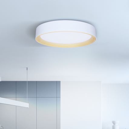 Brilagi - LED Hämardatav laevalgusti LARIOS LED/60W/230V 3000-6500K ø 49 cm valge + kaugjuhtimispult