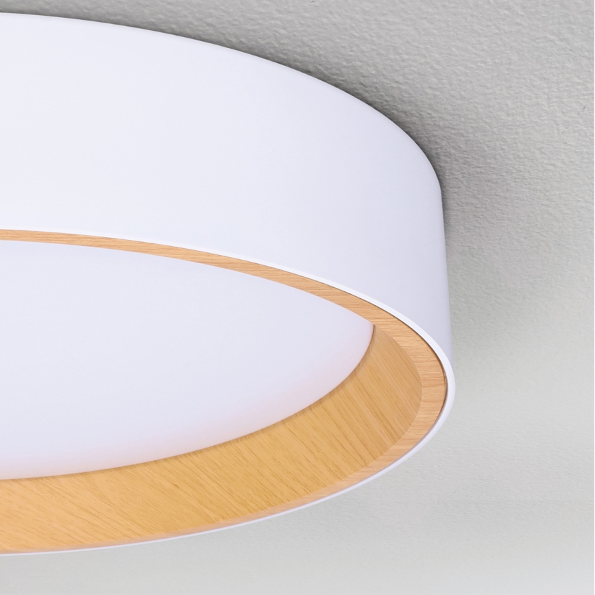 Brilagi - LED Hämardatav laevalgusti LARIOS LED/60W/230V 3000-6500K ø 49 cm valge + kaugjuhtimispult