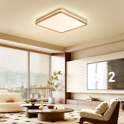BRILAGI - LED hämardatav laelamp MOLINA SQUARE LED/80W/230V 3000-6000K tamm 60x60 cm + kaugjuhtimispult