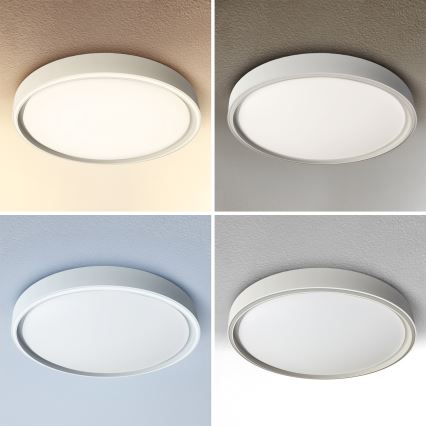 Brilagi - LED-hämardatav laelamp NANCI LED/60W/230V 3000–6500K läbimõõt 49 cm hõbedane + kaugjuhtimispult