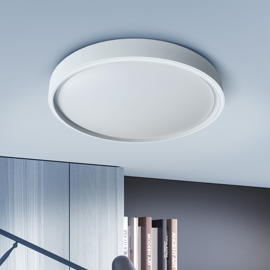 Brilagi - LED-hämardatav laelamp NANCI LED/60W/230V 3000–6500K läbimõõt 49 cm hõbedane + kaugjuhtimispult