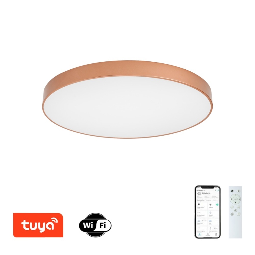 BRILAGI - LED-hämardatav laelamp POOL SMART LED/100 W/230 V 3000–6000 K Ø 80 cm Wi‑Fi Tuya pronks + kaugjuhtimispult