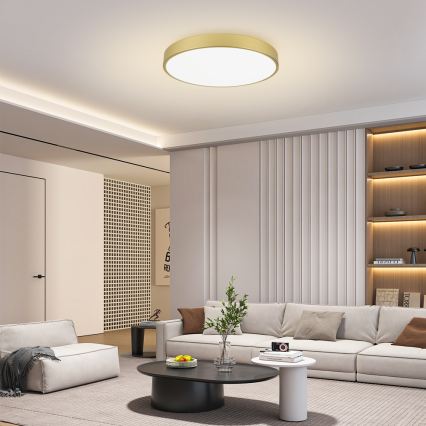 Brilagi - hämardatav LED-laelamp POOL SMART LED/100W/230V 3000-6000K 80 cm kuldne Wi-Fi Tuya + kaugjuhtimispult