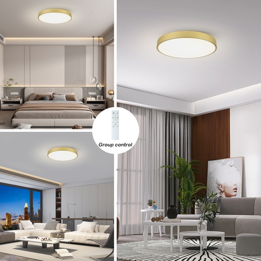 Brilagi - hämardatav LED-laelamp POOL SMART LED/100W/230V 3000-6000K 80 cm kuldne Wi-Fi Tuya + kaugjuhtimispult