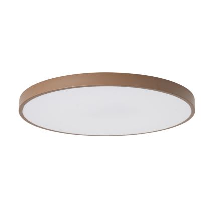 Brilagi - LED-hämardatav valgusti POOL SMART LED/100W/230V läbimõõt 80 cm 3000-6000K Wi-Fi Tuya + kaugjuhtimispult, pruun