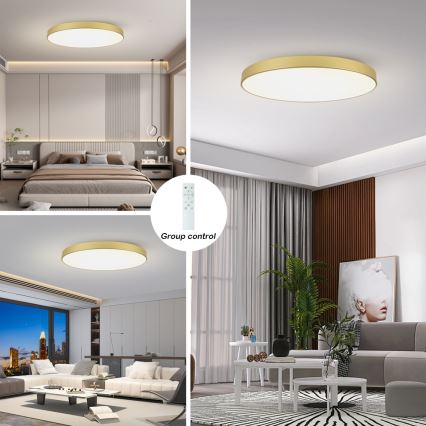 Brilagi - LED hämardatav laelamp POOL SMART LED/128W/230V 3000-6000K 100 cm kuldne Wi-Fi Tuya + kaugjuhtimispult