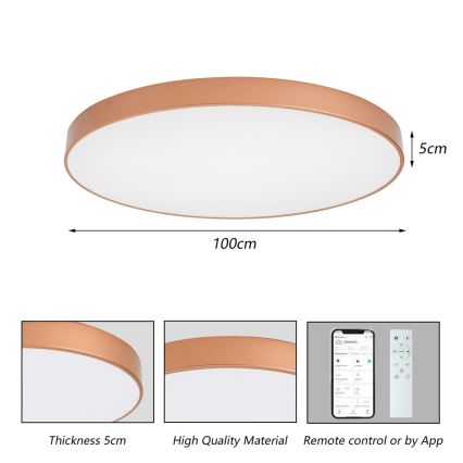 BRILAGI - LED Hämardatav laevalgusti POOL SMART LED/128W/230V 100 cm 3000-6000K Wi-Fi Tuya pronksvärvi + kaugjuhtimispult