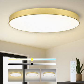 Brilagi -LED hämardatav valgusti POOL SMART LED/180W/230V 120 cm kuldne Wi-Fi Tuya+kaugjuhtimispult