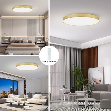 Brilagi - LED hämardatav laelamp POOL SMART LED/180W/230V 3000-6000K 120 cm kuldne Wi-Fi Tuya + kaugjuhtimispult