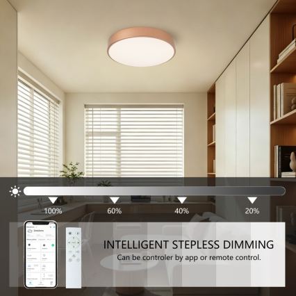 BRILAGI - LED hämardatav laelamp POOL SMART LED/48W/230V 3000-6000K läbimõõt 40 cm Wi-Fi Tuya vaskne + kaugjuhtimispult