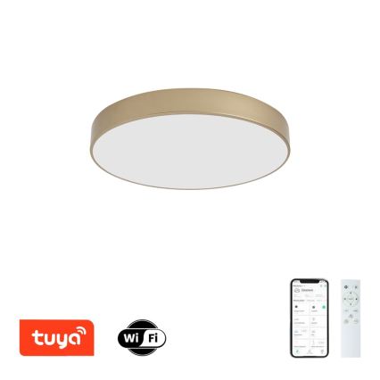 BRILAGI - Hämardatav LED-laelamp POOL SMART LED/60W/230V 3000-6000K läbimõõt 50 cm Wi-Fi Tuya kuldne + kaugjuhtimispult