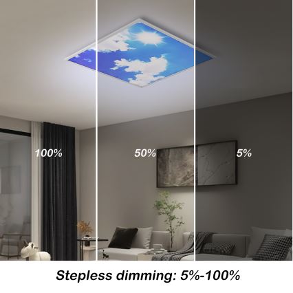 Brilagi - LED-hämardatav laevalgusti SLIMFRAME SKY LED/58W/230V 60x60 cm 3000-6000K hõbedane/sinine + kaugjuhtimispult