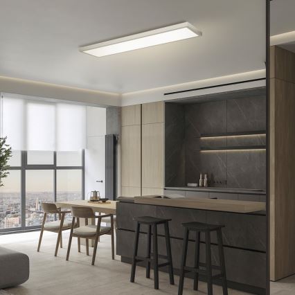 Brilagi - LED Hämardatav laevalgusti vannituppa FRAME SMART LED/50W/230V 120x30 cm 3000-6000K IP44 hõbedane + kaugjuhtimispult