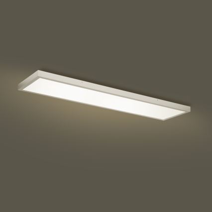 Brilagi - LED Hämardatav laevalgusti vannituppa FRAME SMART LED/50W/230V 120x30 cm 3000-6000K IP44 hõbedane + kaugjuhtimispult