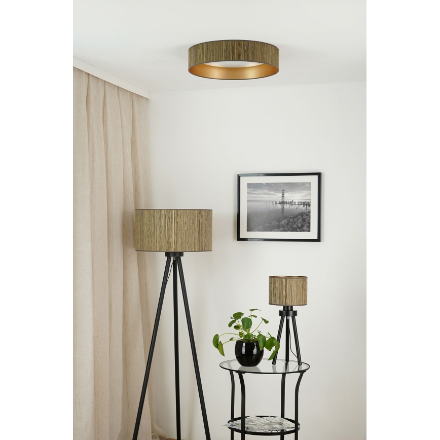 Brilagi - LED Hämardatav laevalgusti VEGAS SHINE LED/24W/230V 3000/4000/6500K kõrs pruun/kuldne + kaugjuhtimispult