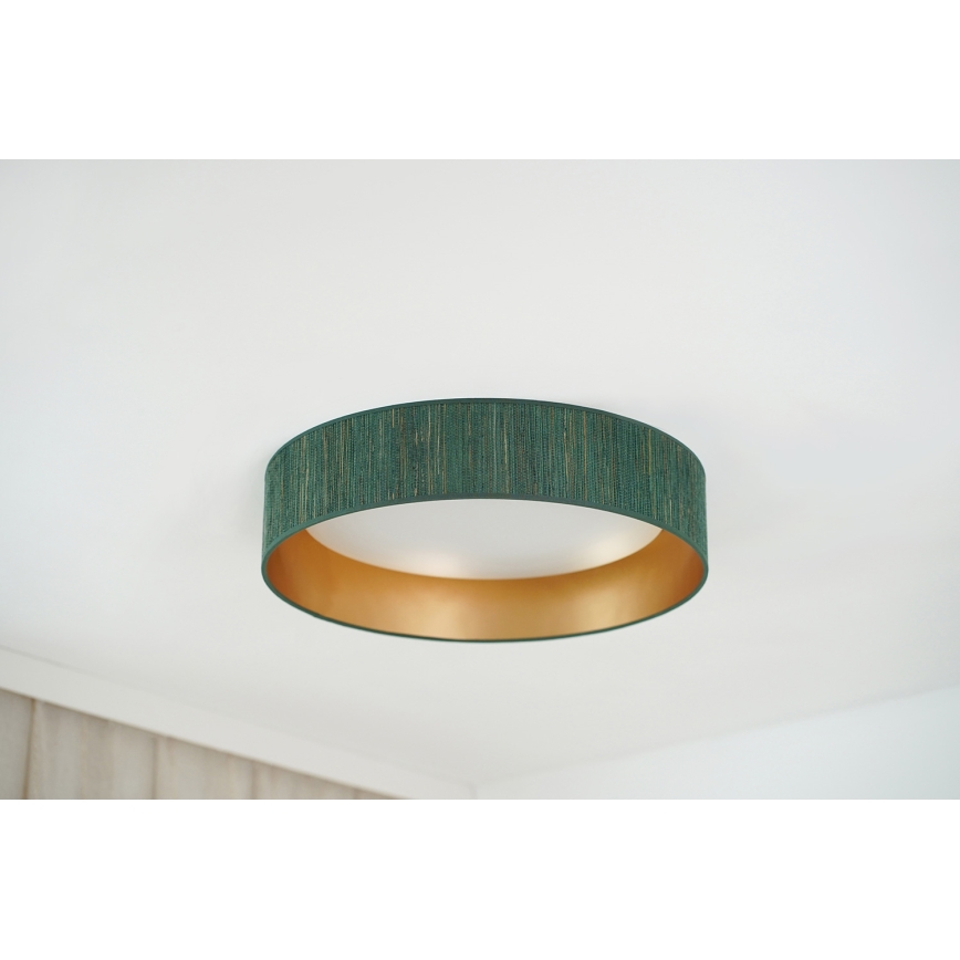 Brilagi - LED Hämardatav laevalgusti VEGAS SHINE LED/24W/230V 3000/4000/6500K kõrs roheline/kuldne + kaugjuhtimispult
