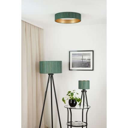Brilagi - LED Hämardatav laevalgusti VEGAS SHINE LED/24W/230V 3000/4000/6500K kõrs roheline/kuldne + kaugjuhtimispult