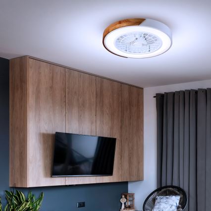 Brilagi - LED Hämardatav laeventilaator valgustiga LED/30W/230V 3000-6500K valge/tamm + kaugjuhtimispult