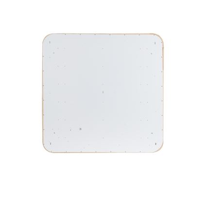 BRILAGI - hämardatav LED-laelamp WOODLINE SQUARE LED/80W/230V 3000-6000K tamm 60x60 cm + kaugjuhtimispult