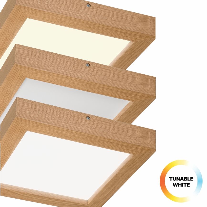 Brilagi - LED Hämardatav laevalgusti vannituppa WOODY FRAME LED/24W/230V tamm 30x30 cm 3000-6000K IP44 + kaugjuhtimispult