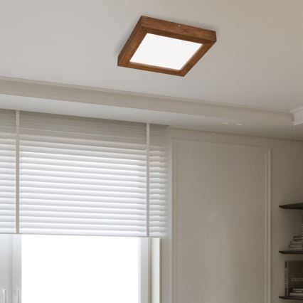 Brilagi - LED Hämardatav laevalgusti vannituppa WOODY FRAME LED/24W/230V tamm kirss 30x30 cm 3000-6000K IP44 + kaugjuhtimispult