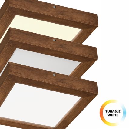 Brilagi - LED Hämardatav laevalgusti vannituppa WOODY FRAME LED/24W/230V tamm kirss 30x30 cm 3000-6000K IP44 + kaugjuhtimispult