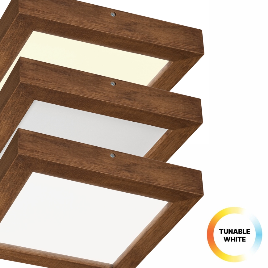 Brilagi - LED Hämardatav laevalgusti vannituppa WOODY FRAME LED/24W/230V tamm kirss 30x30 cm 3000-6000K IP44 + kaugjuhtimispult