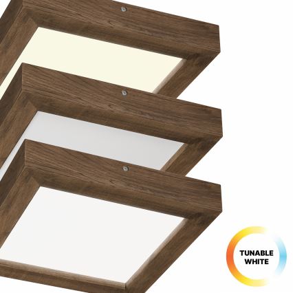 Brilagi - LED Hämardatav laevalgusti vannituppa WOODY FRAME LED/24W/230V tamm 30x30 cm 3000-6000K IP44 + kaugjuhtimispult