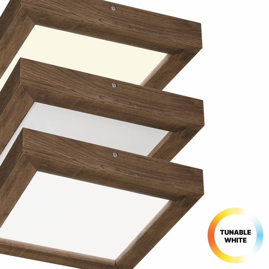 Brilagi - LED Hämardatav laevalgusti vannituppa WOODY FRAME LED/24W/230V tamm 30x30 cm 3000-6000K IP44 + kaugjuhtimispult