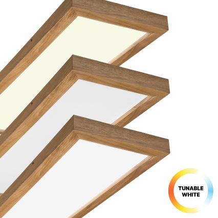 Brilagi - LED Hämardatav laevalgusti vannituppa WOODY FRAME LED/50W/230V tamm 120x30 cm 3000-6000K IP44 + kaugjuhtimispult