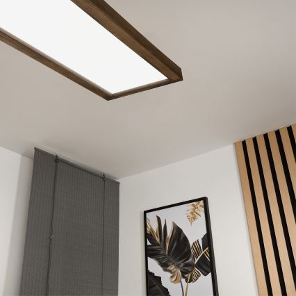 Brilagi - LED Hämardatav laevalgusti vannituppa WOODY FRAME LED/50W/230V tamm 120x30 cm 3000-6000K IP44 + kaugjuhtimispult