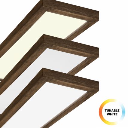 Brilagi - LED Hämardatav laevalgusti vannituppa WOODY FRAME LED/50W/230V tamm 120x30 cm 3000-6000K IP44 + kaugjuhtimispult