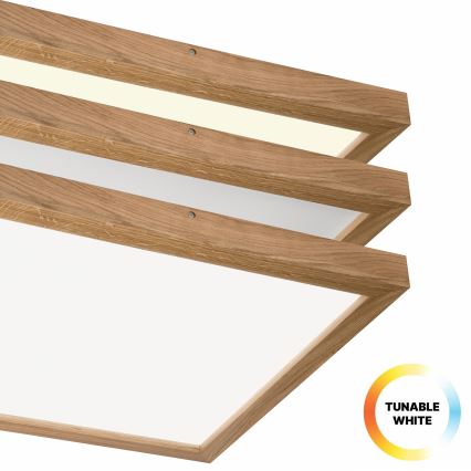 Brilagi - LED Hämardatav laevalgusti vannituppa WOODY FRAME LED/50W/230V tamm 60x60 cm 3000-6000K IP44 + kaugjuhtimispult