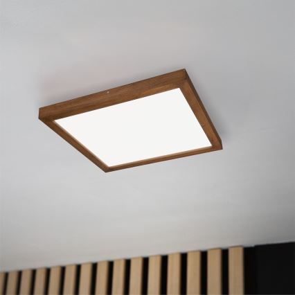 Brilagi - LED Hämardatav laevalgusti vannituppa WOODY FRAME LED/50W/230V tamm kirss 60x60 cm 3000-6000K IP44 + kaugjuhtimispult