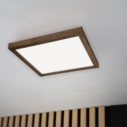 Brilagi - LED Hämardatav laevalgusti vannituppa WOODY FRAME LED/50W/230V tamm 60x60 cm 3000-6000K IP44 + kaugjuhtimispult