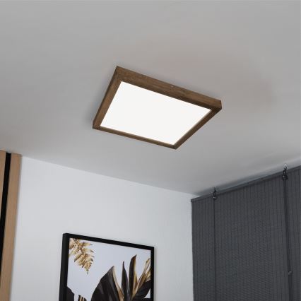 Brilagi - LED Hämardatav laevalgusti vannituppa WOODY FRAME LED/50W/230V tamm 60x60 cm 3000-6000K IP44 + kaugjuhtimispult