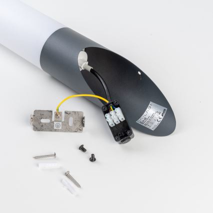 BRILAGI - LED-hämardatav välisseinavalgusti ELIA 1xE27/6W/230V 2700-6500K IP44 Wi-Fi antratsiit