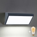 Brilagi - LED hämardatav välisseinavalgusti TRIANGLE 1xE27/6W/230V 2700-6500K IP65 antratsiit