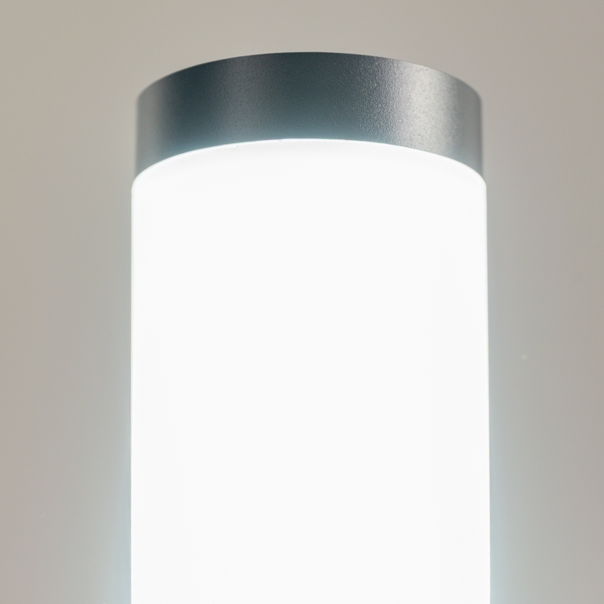 BRILAGI - LED hämardatav välisvalgusti pistikupesaga ELIA 1xE27/6W/230V 2700-6500K IP44 Wi-Fi 50 cm antratsiit