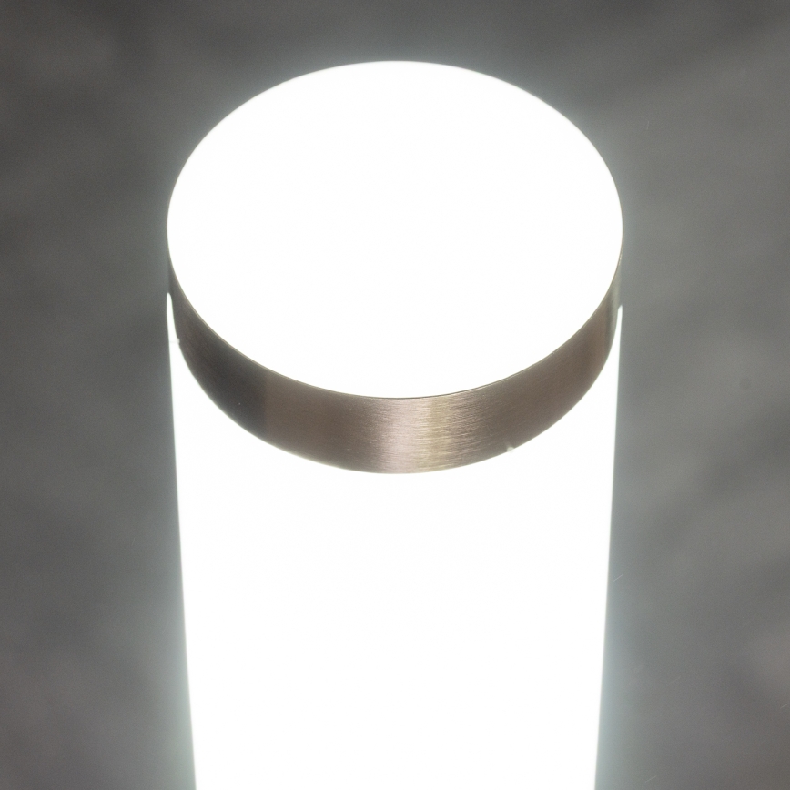 BRILAGI - LED hämardatav välisvalgusti pistikupesaga ELIA 1xE27/6W/230V 2700-6500K IP44 Wi-Fi 50 cm mattkroom