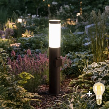 BRILAGI - LED hämardatav välisvalgusti pistikupesaga ELIA 1xE27/6W/230V 2700-6500K IP44 Wi-Fi 50 cm antratsiit